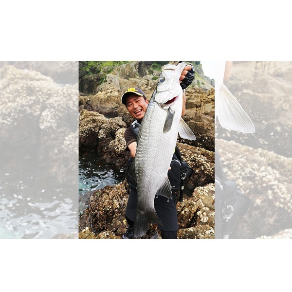 SUPER　X－WIRE　8